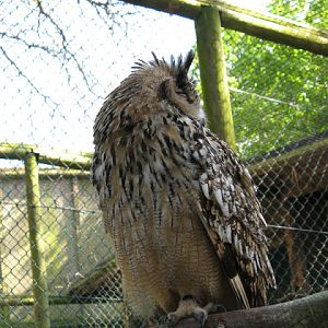 Paradise Park 20.04.2009