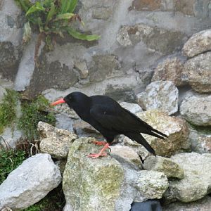 Paradise Park 20.04.2009