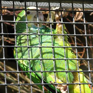 Paradise Park 20.04.2009