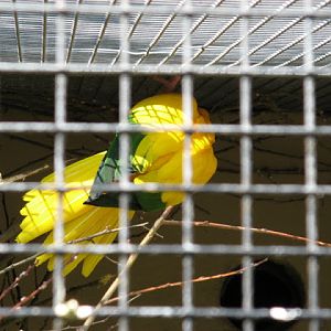 Paradise Park 20.04.2009