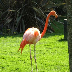 Paradise Park 20.04.2009