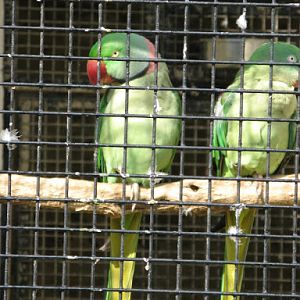 Paradise Park 20.04.2009