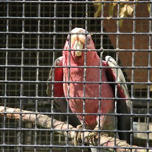 Paradise Park 20.04.2009