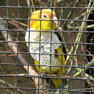 Paradise Park 20.04.2009