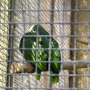 Paradise Park 20.04.2009