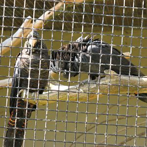 Paradise Park 20.04.2009