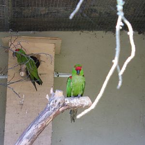 Paradise Park 20.04.2009