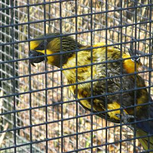 Paradise Park 20.04.2009