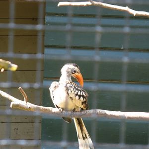 Paradise Park 20.04.2009