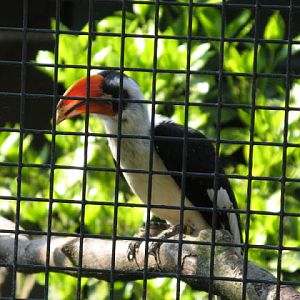 Paradise Park 20.04.2009