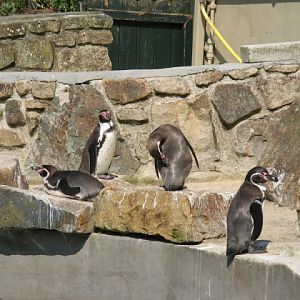 Paradise Park 20.04.2009