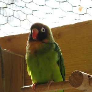 Paradise Park 20.04.2009