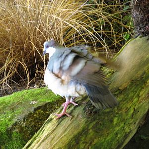 Paradise Park 20.04.2009