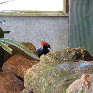 Paradise Park 20.04.2009