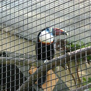 Paradise Park 20.04.2009