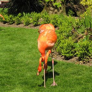 Paradise Park 20.04.2009