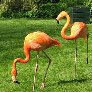 Paradise Park 20.04.2009