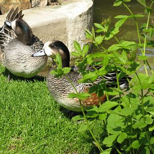 Paradise Park 20.04.2009