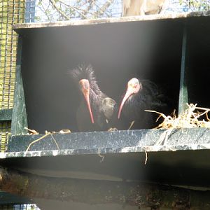 Paradise Park 20.04.2009