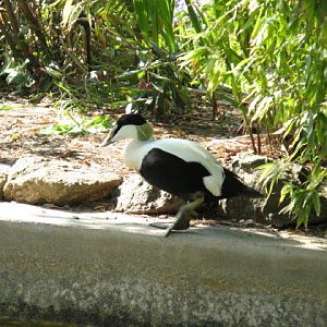 Paradise Park 20.04.2009