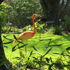 Paradise Park 20.04.2009