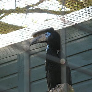 Paradise Park 20.04.2009