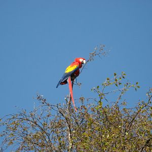 Paradise Park 20.04.2009