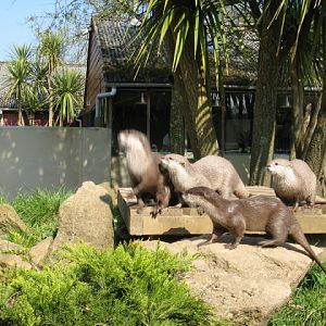 Paradise Park 20.04.2009