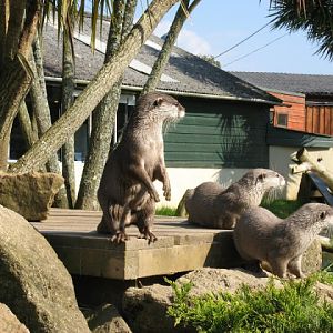 Paradise Park 20.04.2009