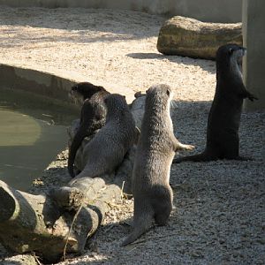 Paradise Park 20.04.2009