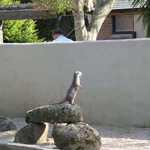 Paradise Park 20.04.2009