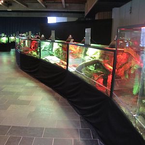 Reptile Terrariums - Bergen Akvariet 2012