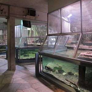 Nile Crocodile Enclosure - Bergen Akvariet 2012