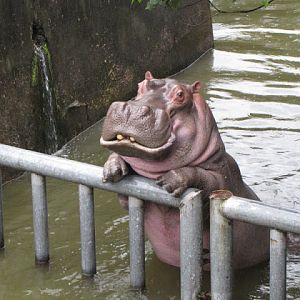 Taipei Zoo 10.01.2011