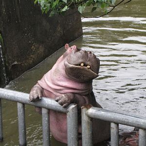 Taipei Zoo 10.01.2011