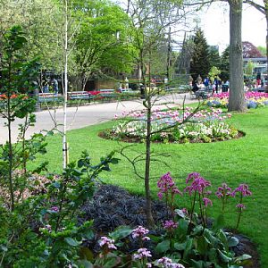 Bristol Zoo 1.05.2010