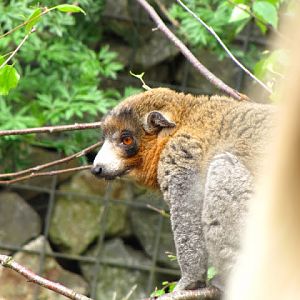 Bristol Zoo 1.05.2010