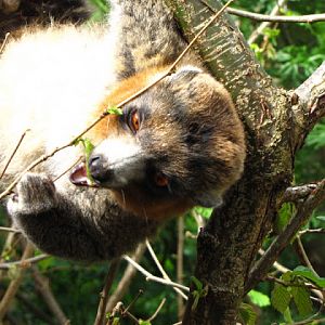Bristol Zoo 1.05.2010