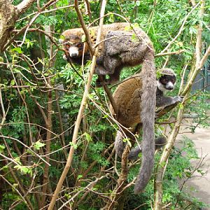 Bristol Zoo 1.05.2010