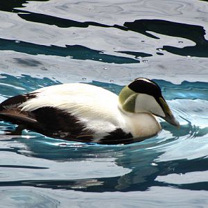 Bristol Zoo 1.05.2010