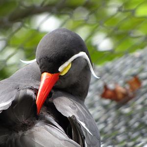 Bristol Zoo 1.05.2010