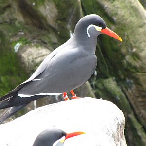 Bristol Zoo 1.05.2010