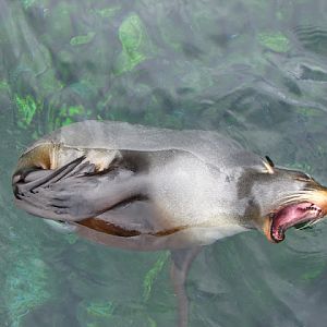 Bristol Zoo 1.05.2010