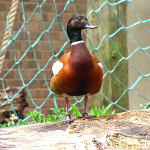 Bristol Zoo 1.05.2010