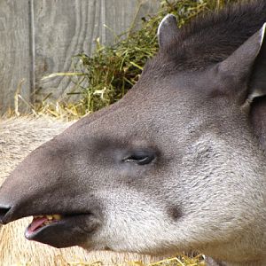 Bristol Zoo 1.05.2010