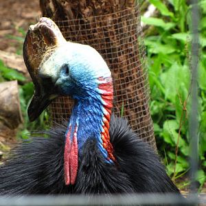 Bristol Zoo 1.05.2010