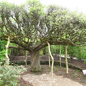 Bristol Zoo 1.05.2010