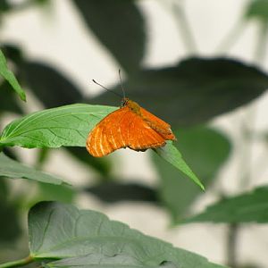 Bristol Zoo 1.05.2010
