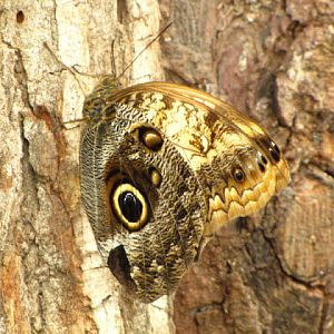Bristol Zoo 1.05.2010