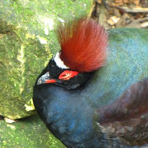 Bristol Zoo 1.05.2010